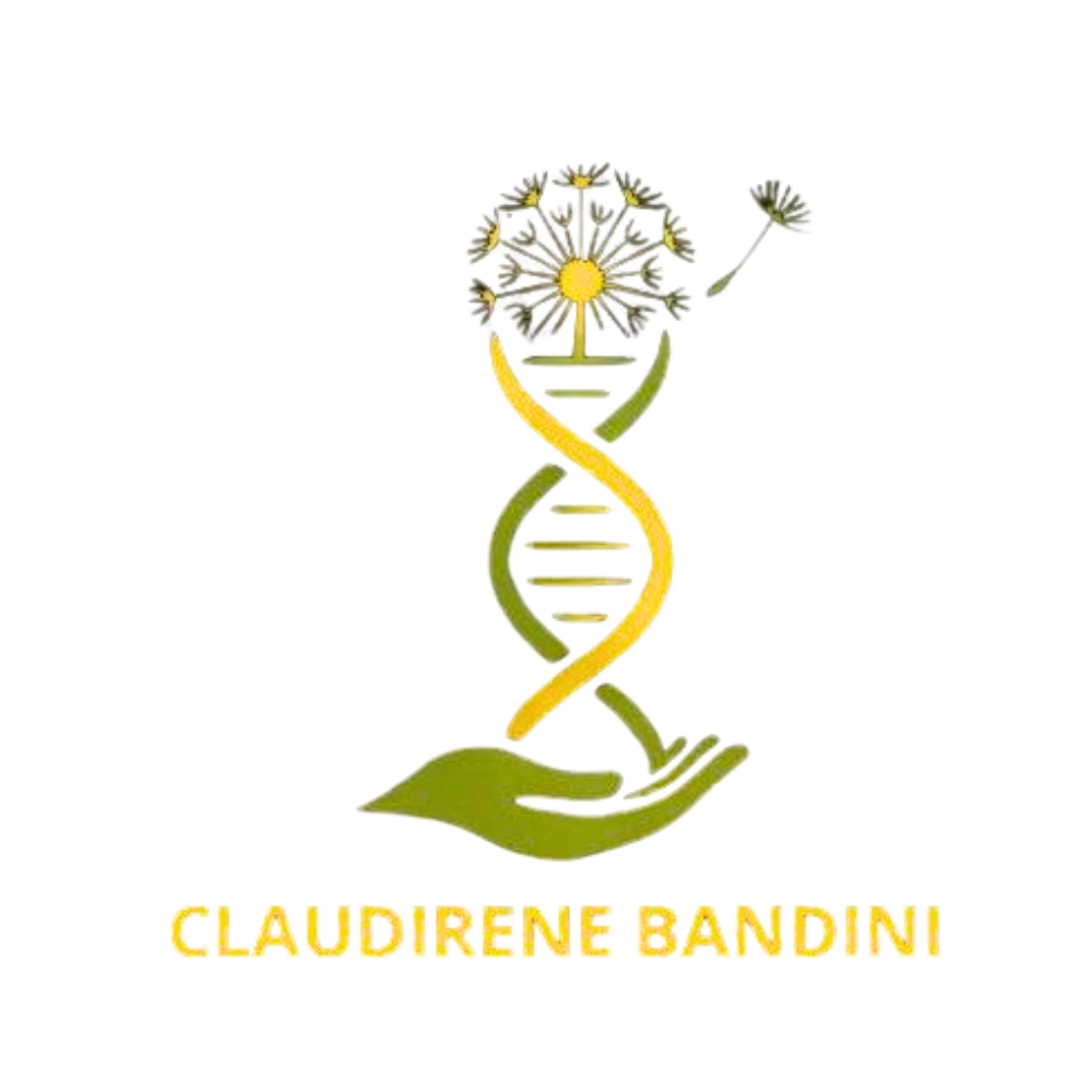 Não se Sinta Sozinho Constelação Familiar para Brasileiros